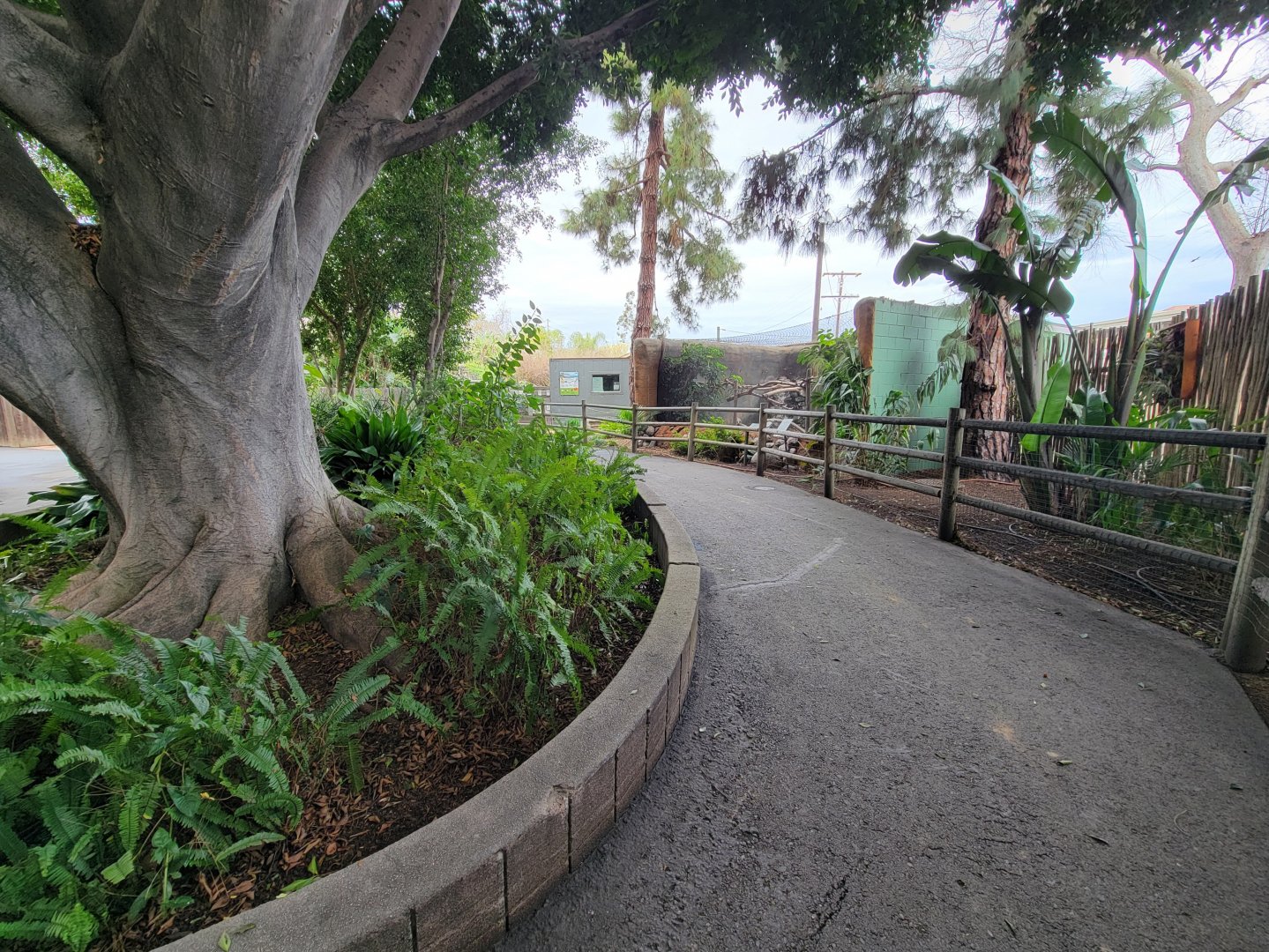 Santa Ana Zoo - Path