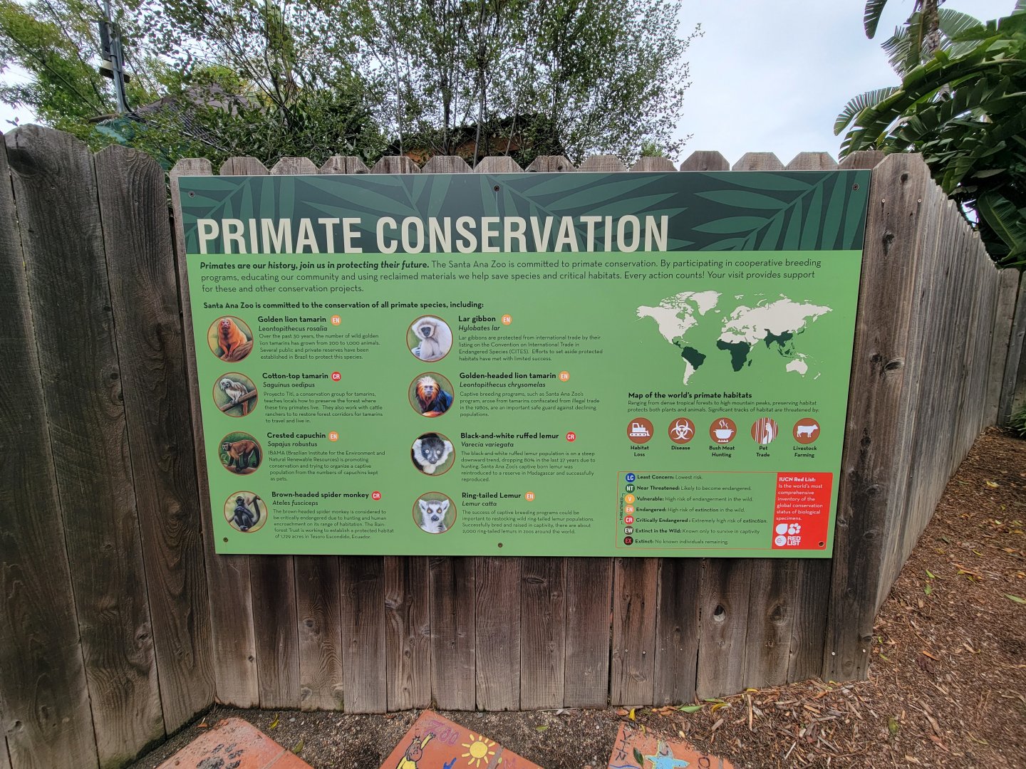 Santa Ana Zoo - Primate Conservation