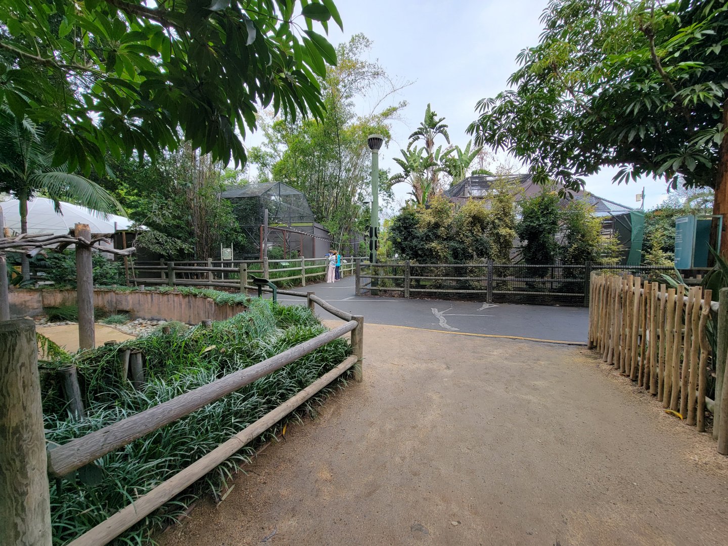 Santa Ana Zoo - Primate exhibits