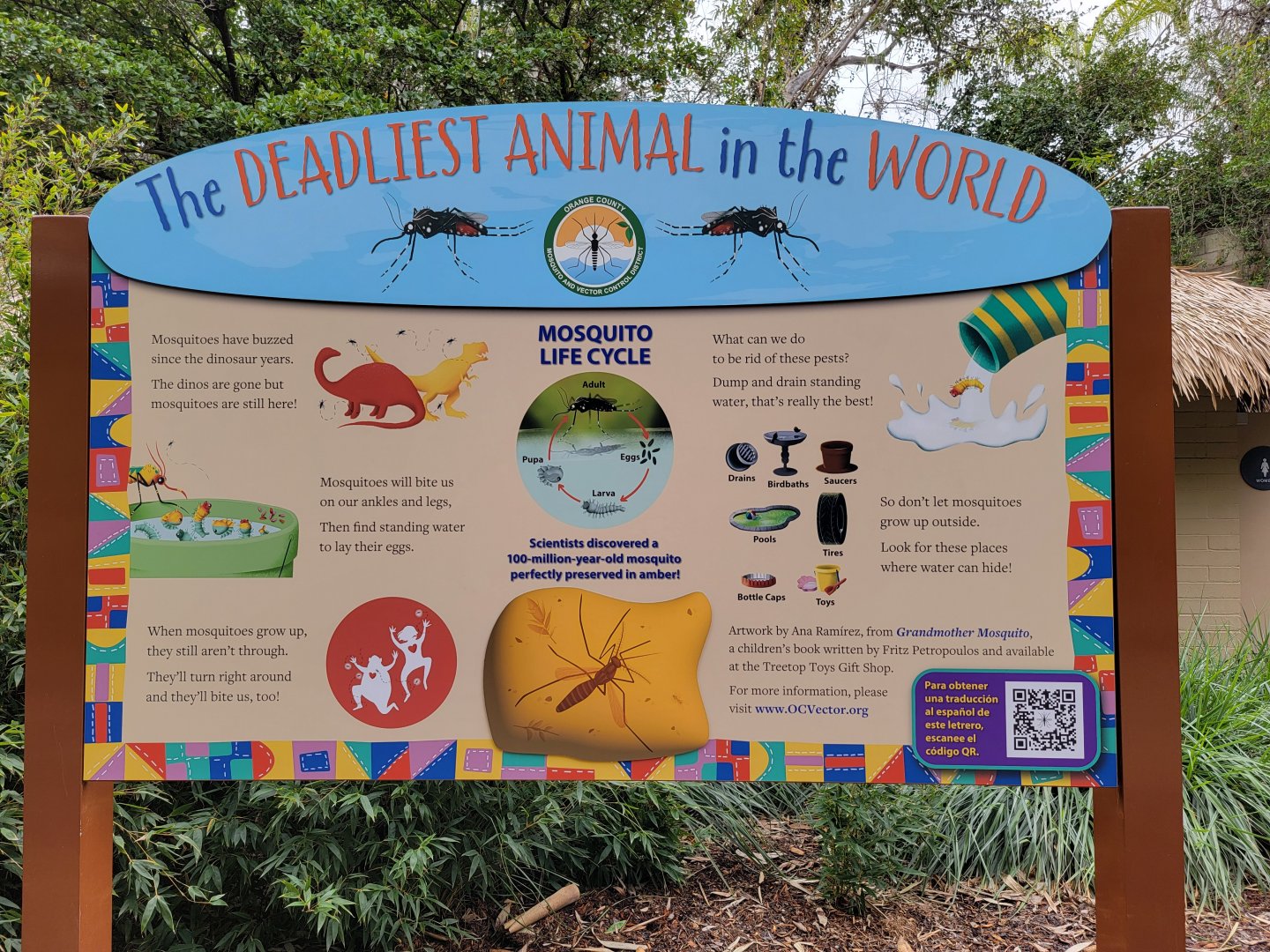 Santa Ana Zoo - The Deadliest Animal in the World