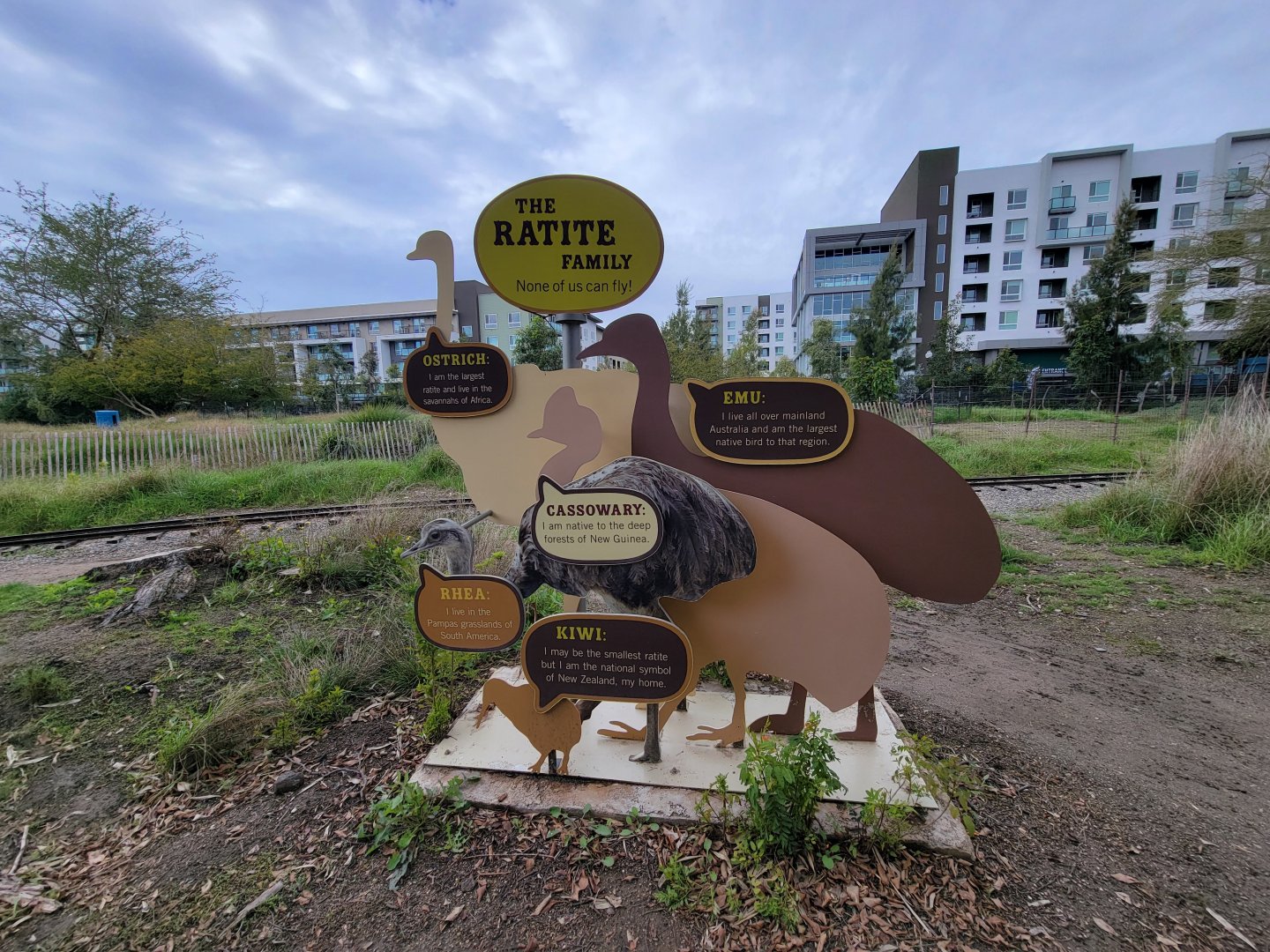 Santa Ana Zoo - The ratite family