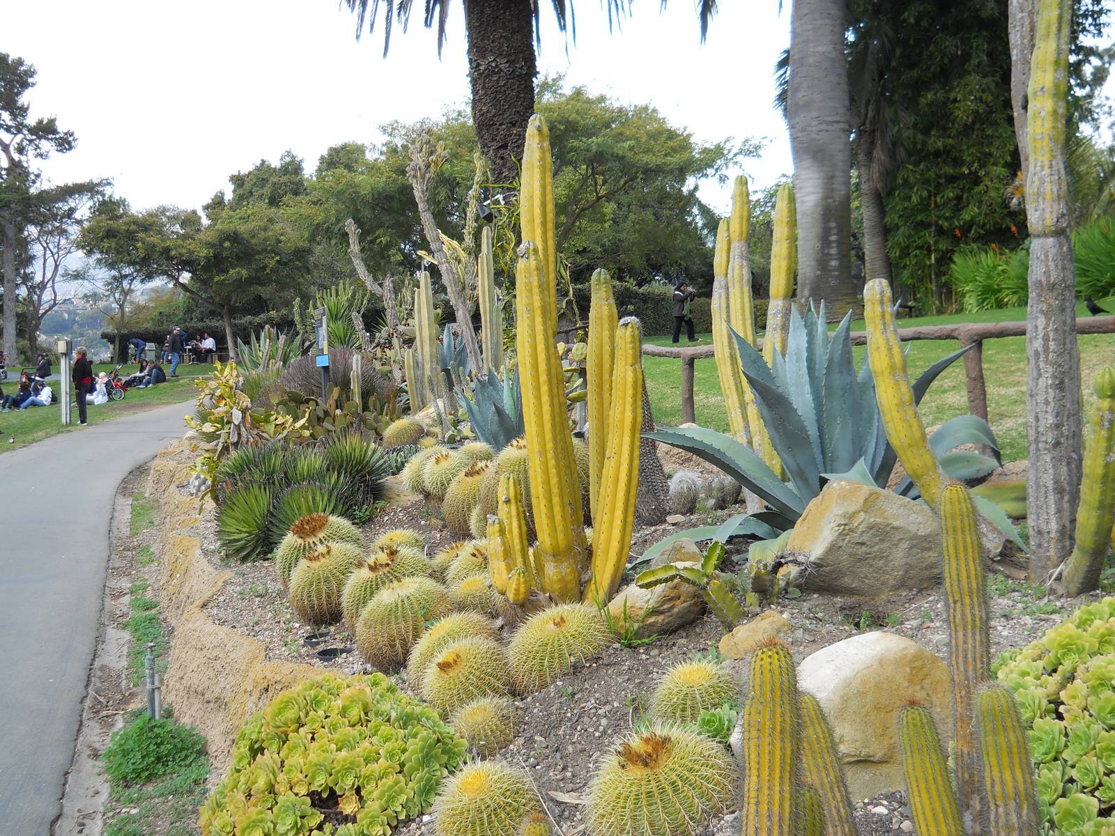 Santa Barbara Zoo cactus garden