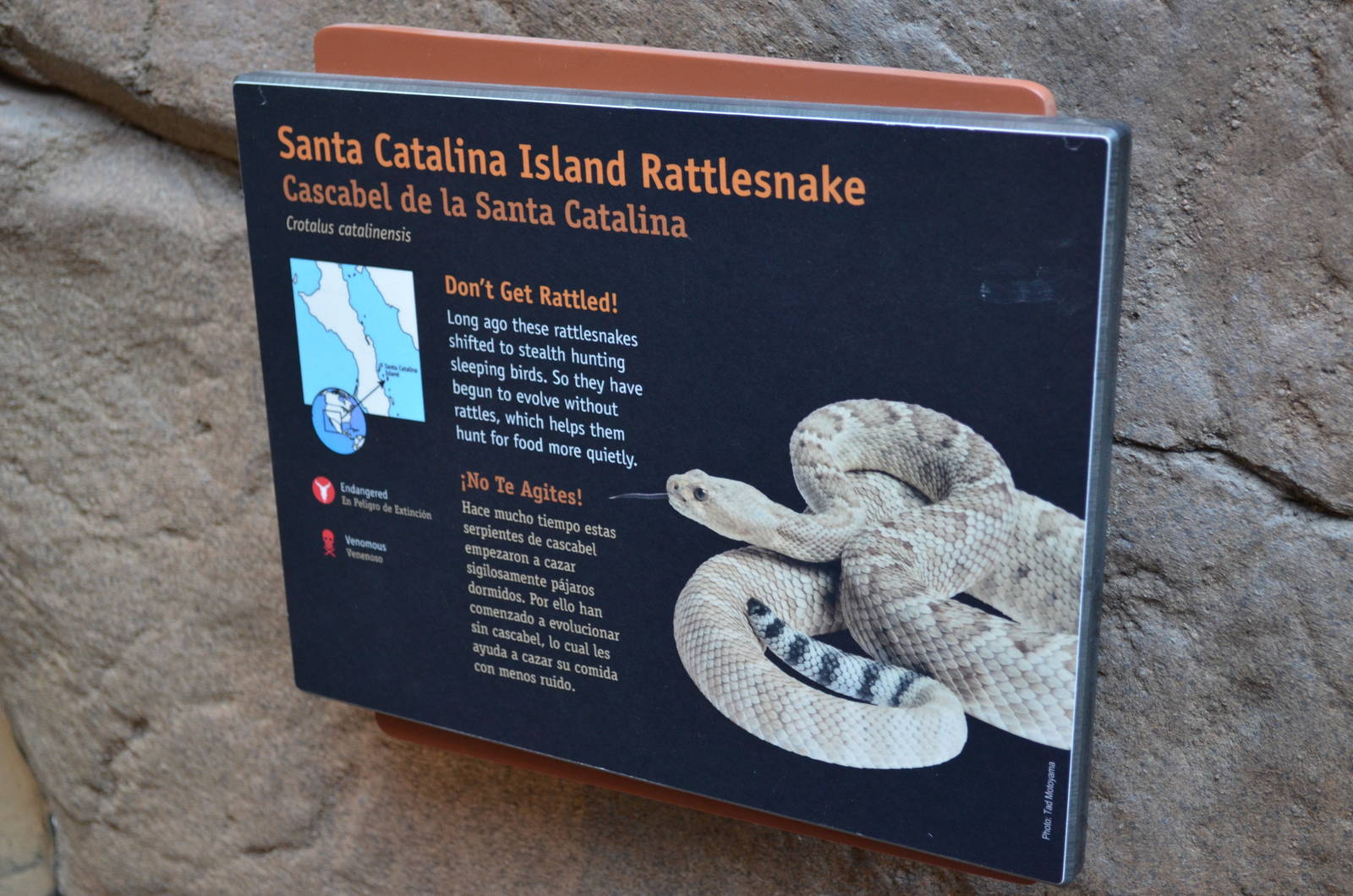 SANTA CATALINA ISLAND RATTLESNAKE SIGNAGE