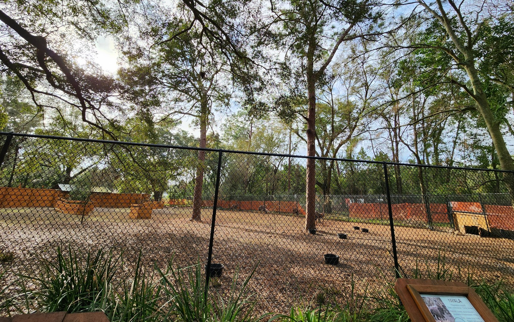 Santa Fe College Zoo (2023) - Nyala/tortoise exhibit