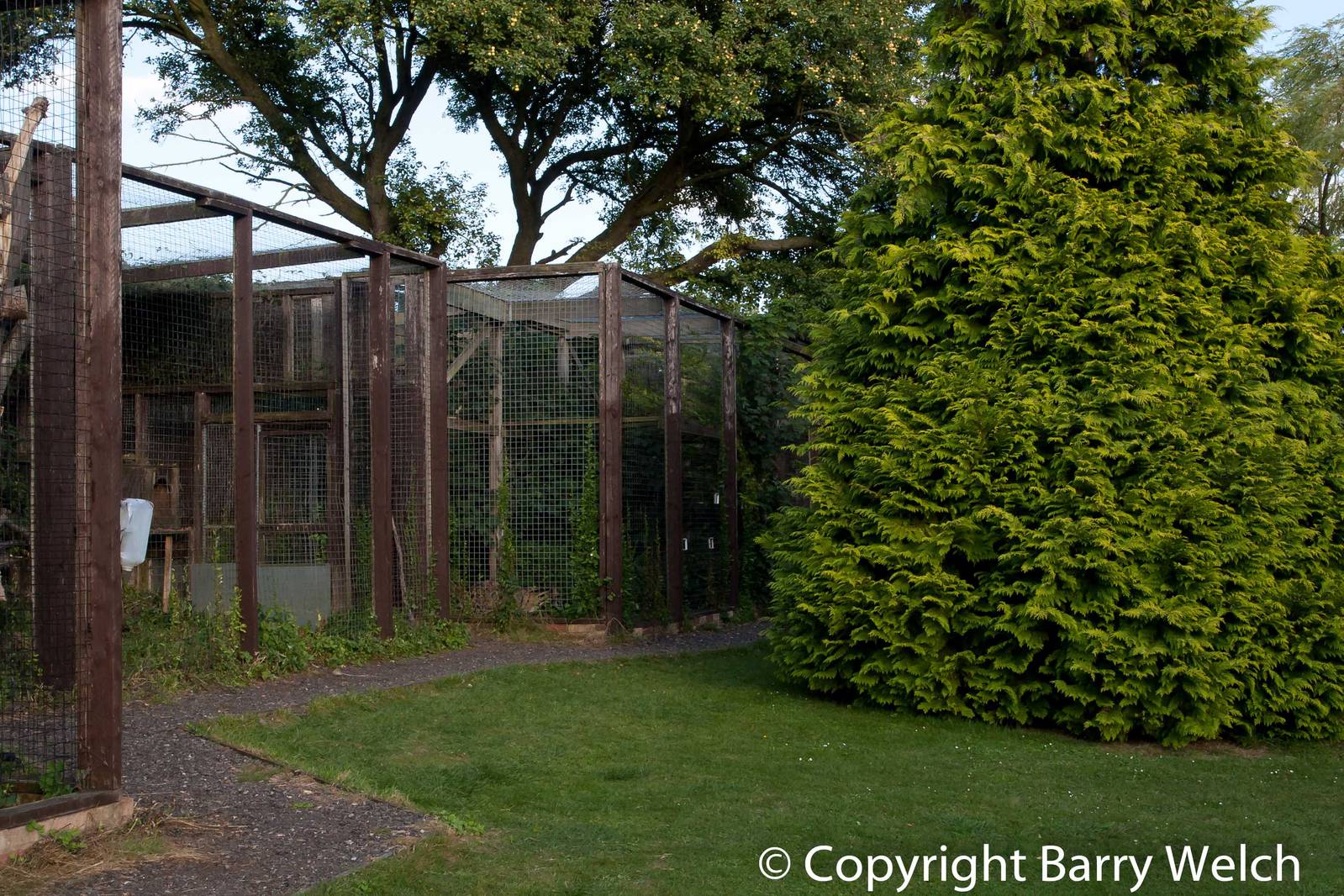 Santago Leopard Project