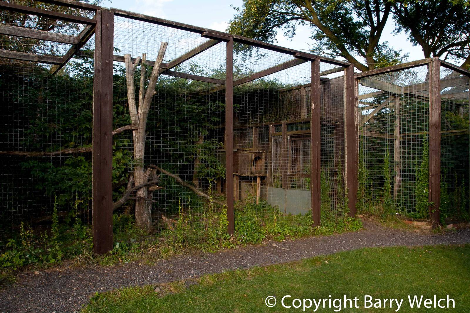 Santago Leopard Project