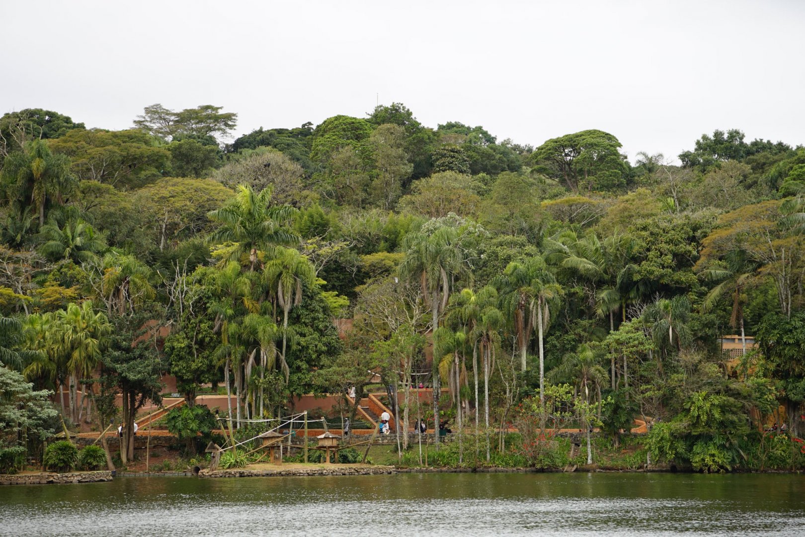 Sao Paulo zoo