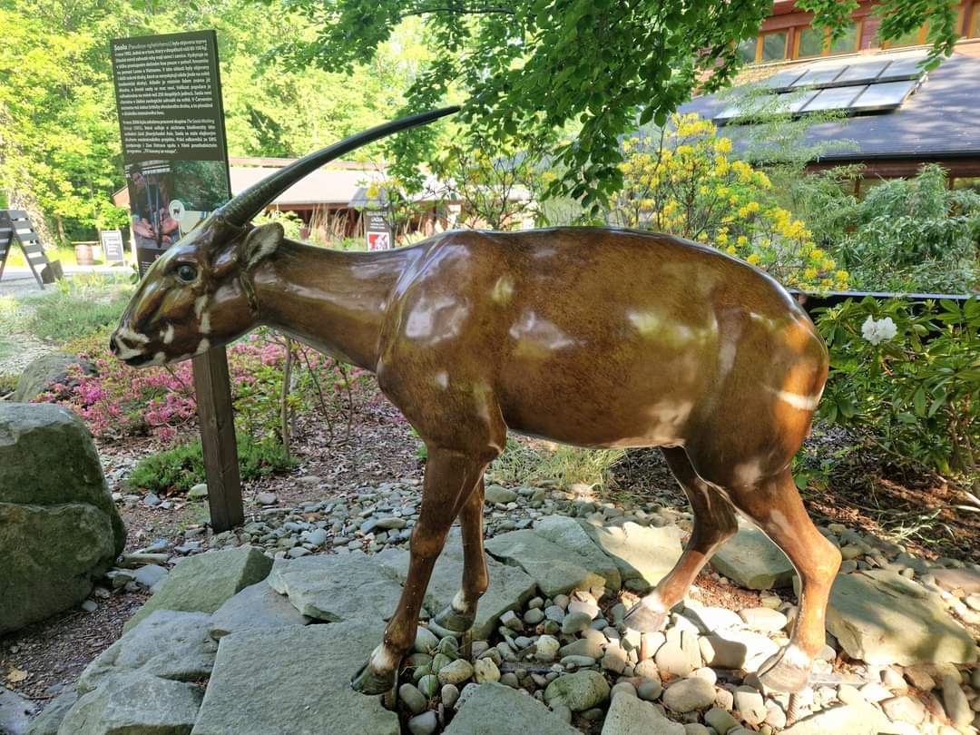 Saola statue