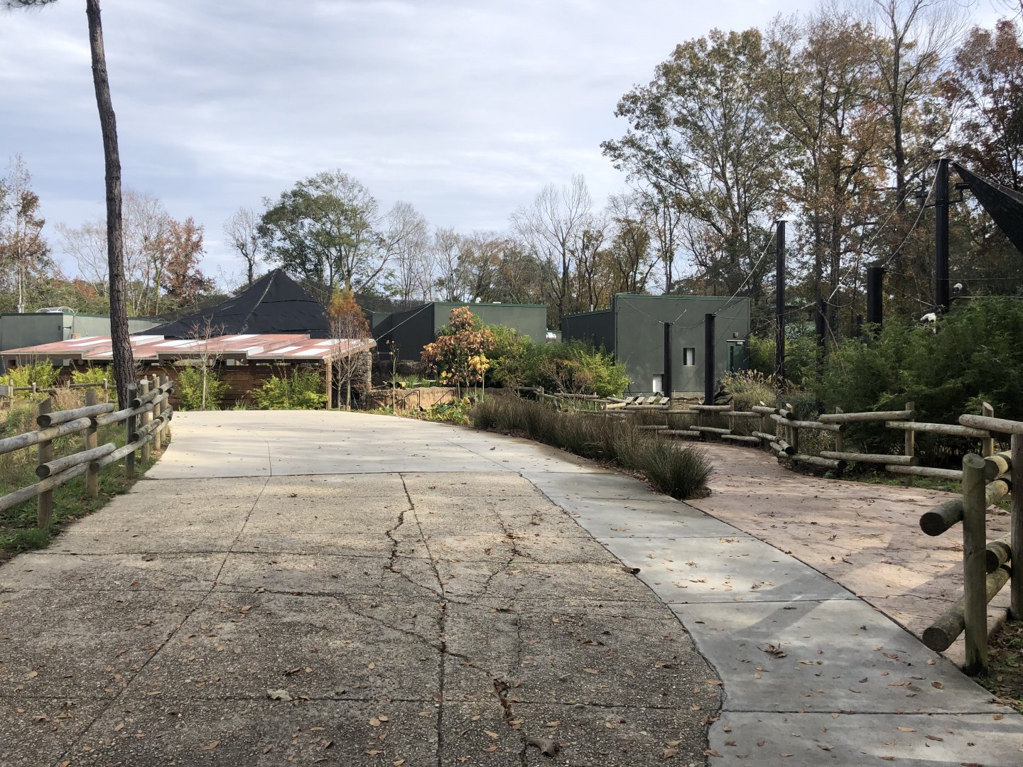 Sapo Springs approach