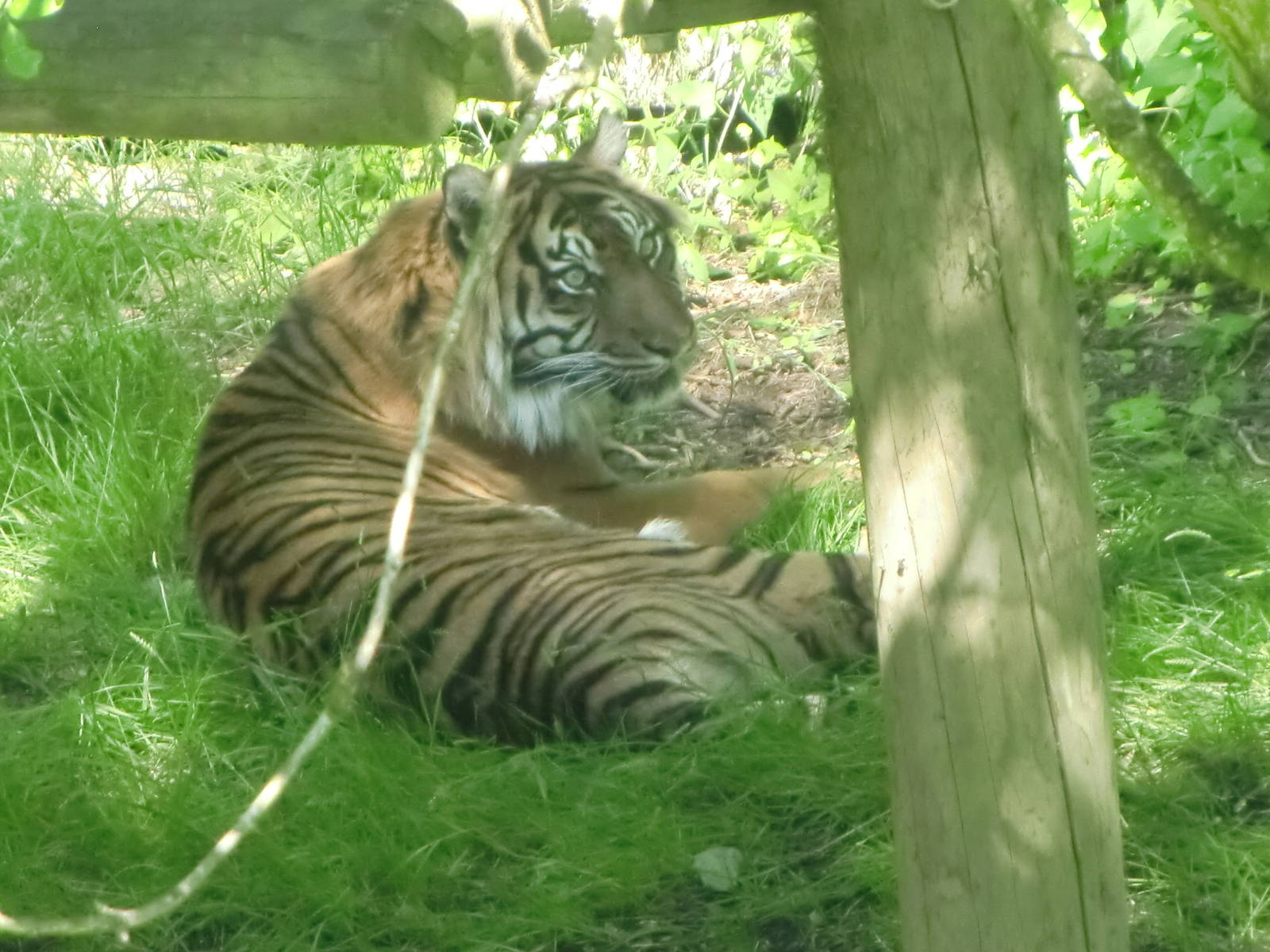 Sarah enjoying the shade