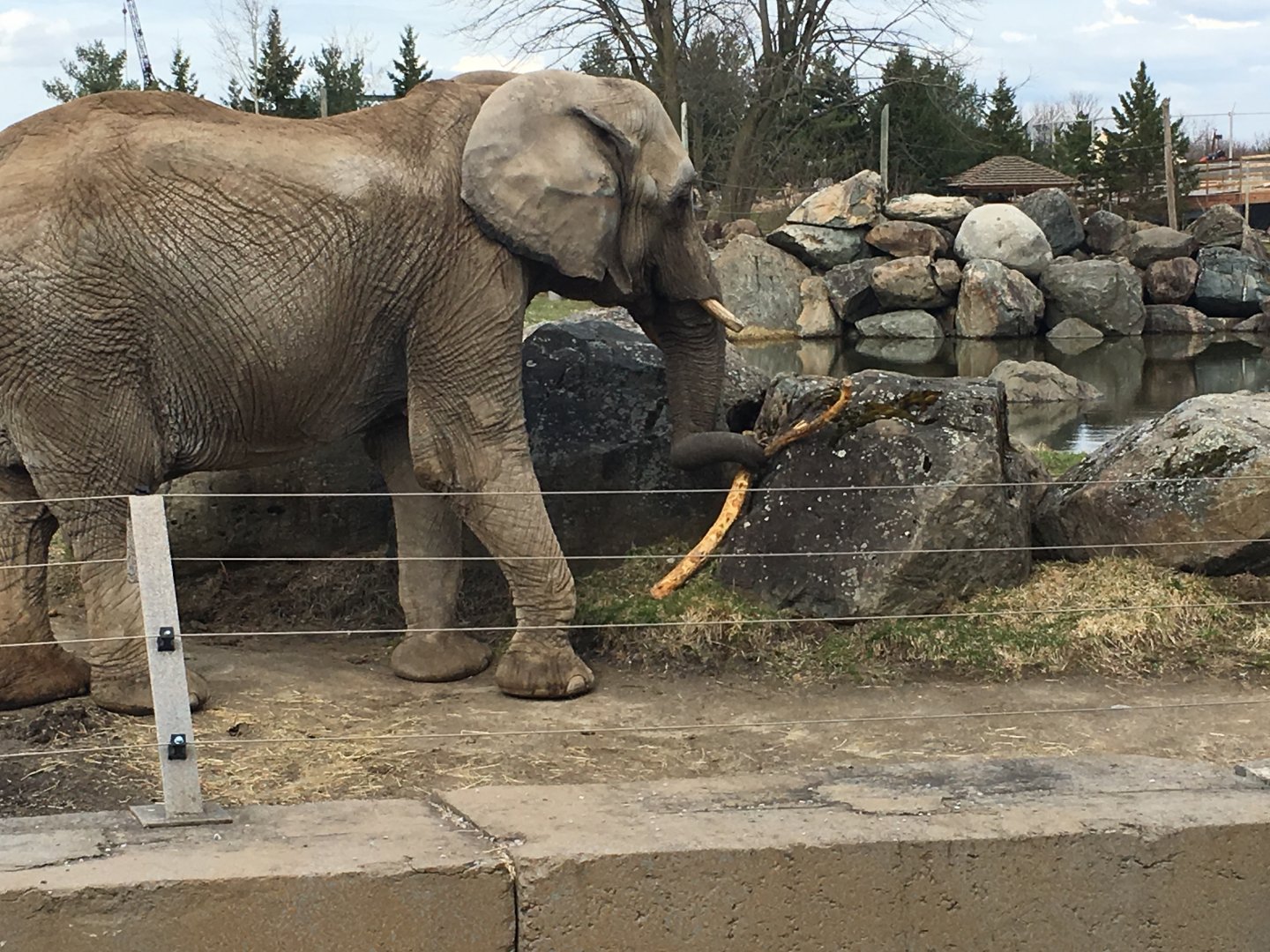 Sarah playing with a stick