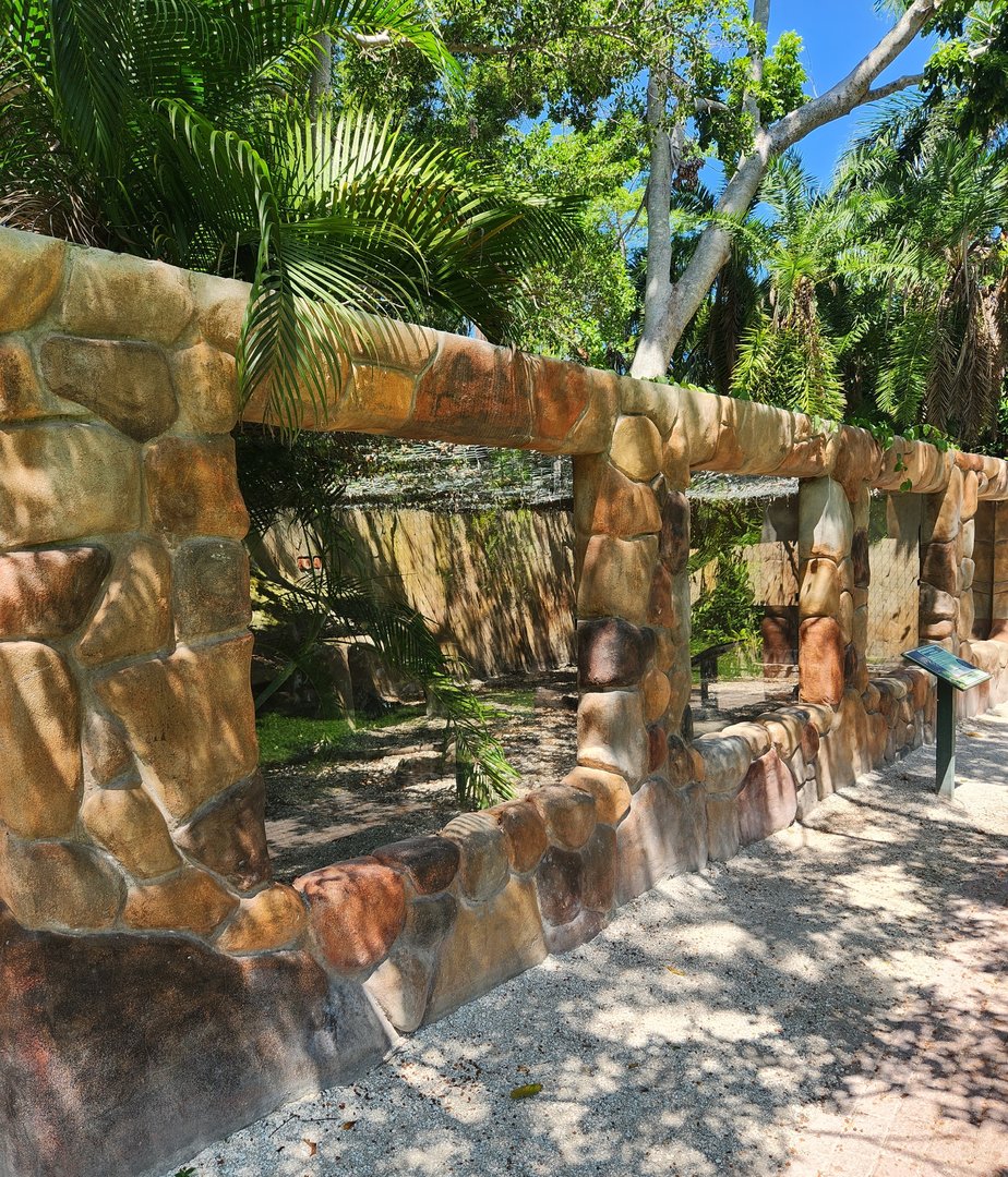 Sarasota Jungle Gardens (2023) - "Crested" (Cape) Porcupine exhibit