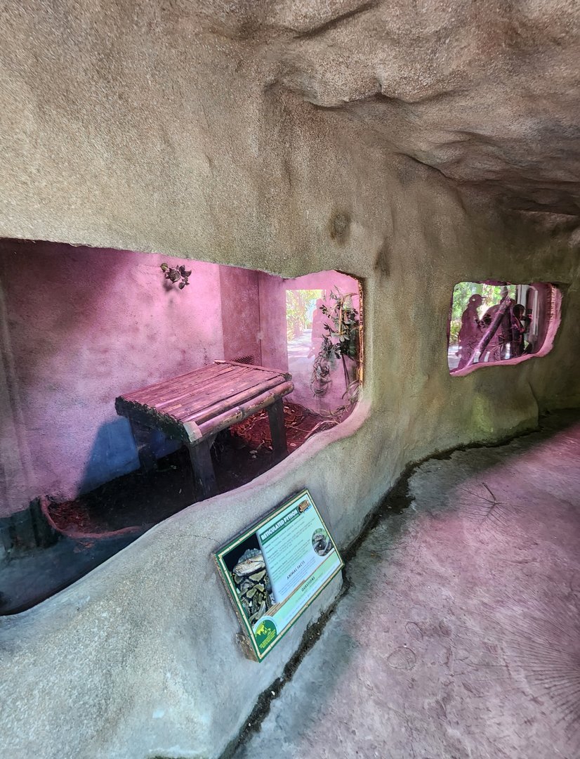 Sarasota Jungle Gardens (2023) - Giant snakes exhibits