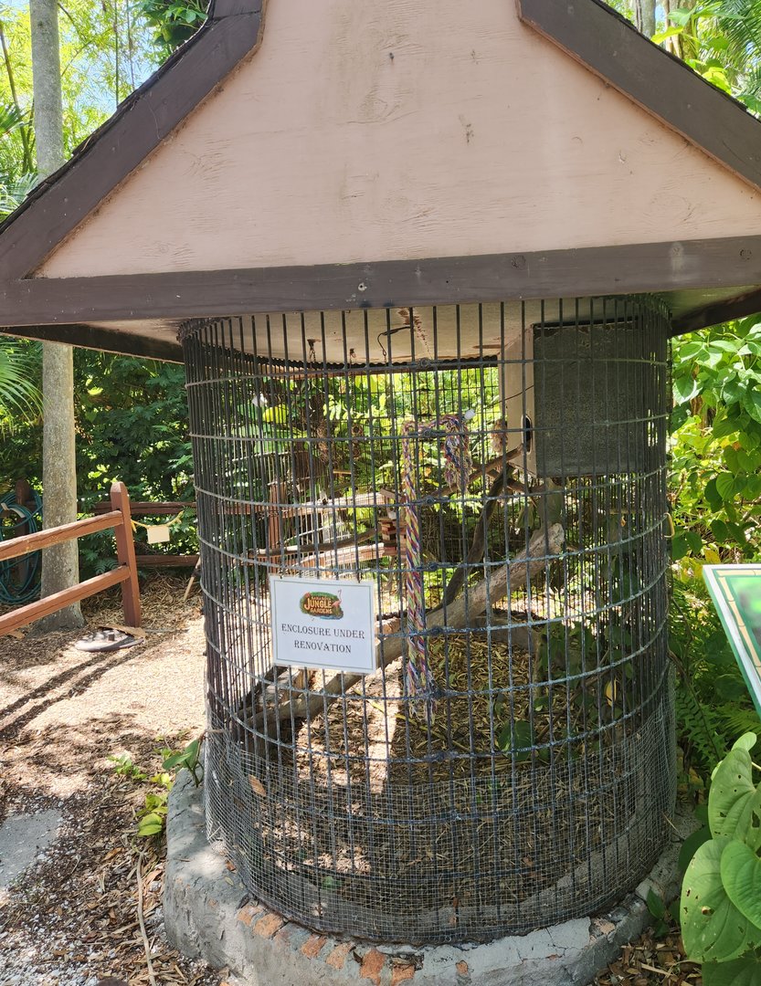 Sarasota Jungle Gardens (2023) - "Under construction"