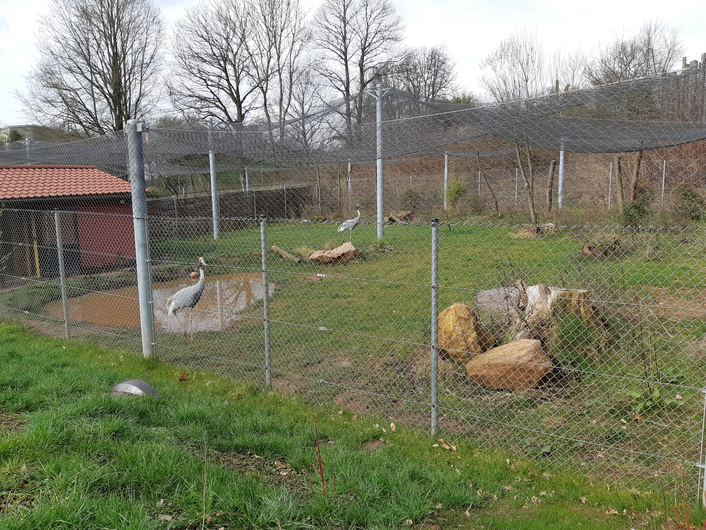Sarus crane aviary - Zoo Saarbrücken