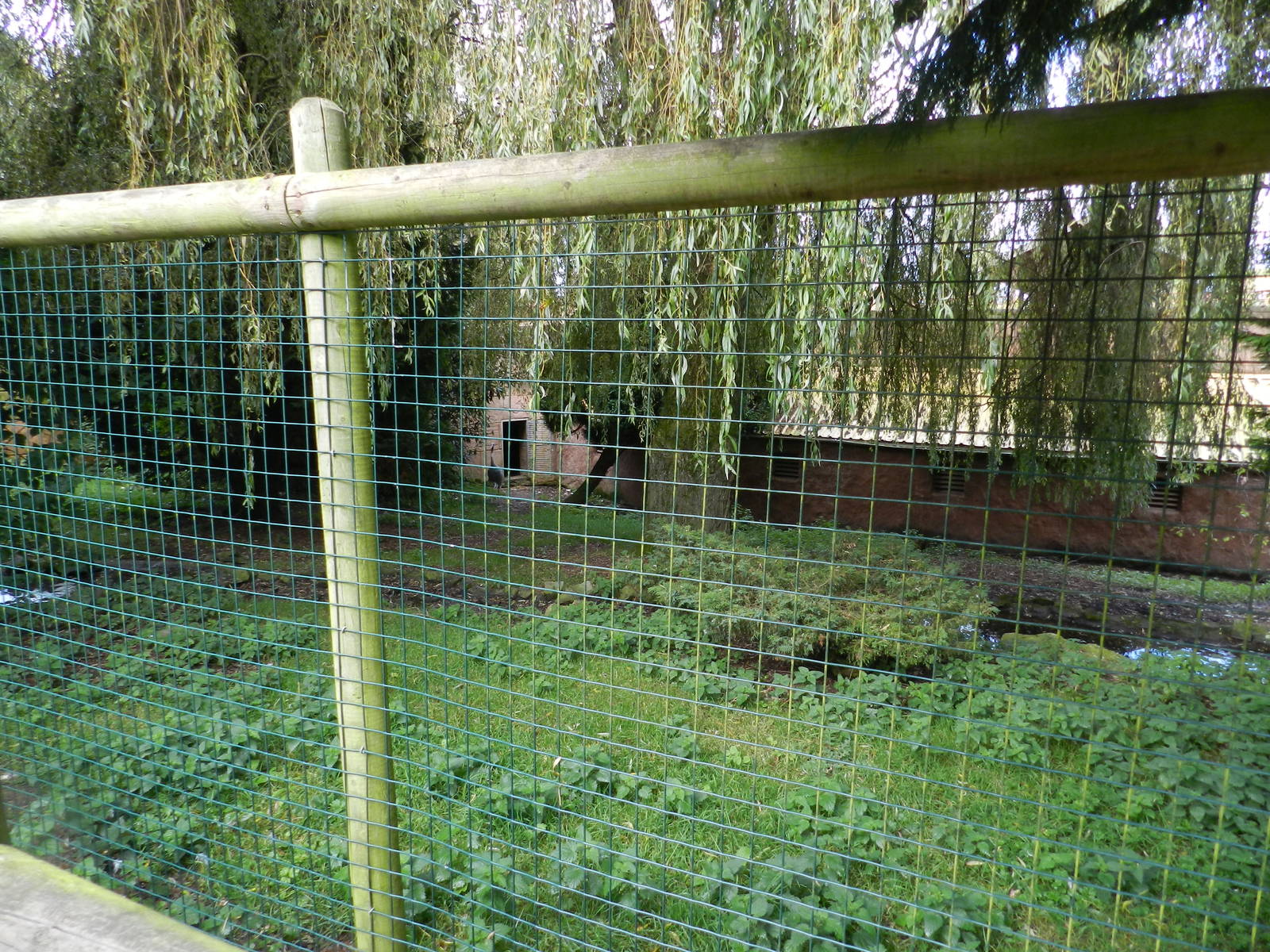 Sarus Crane Enclosure at Flamingo Land - 14/10/2012