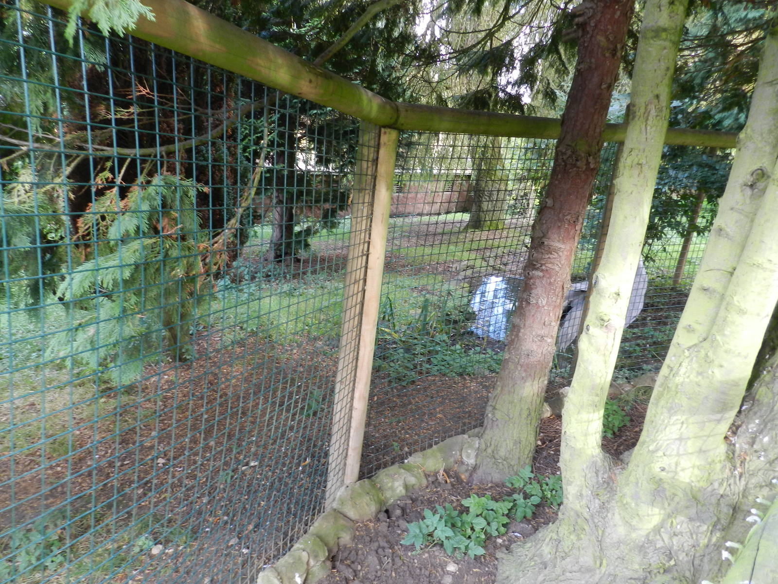 Sarus Crane Enclosure at Flamingo Land - 14/10/2012