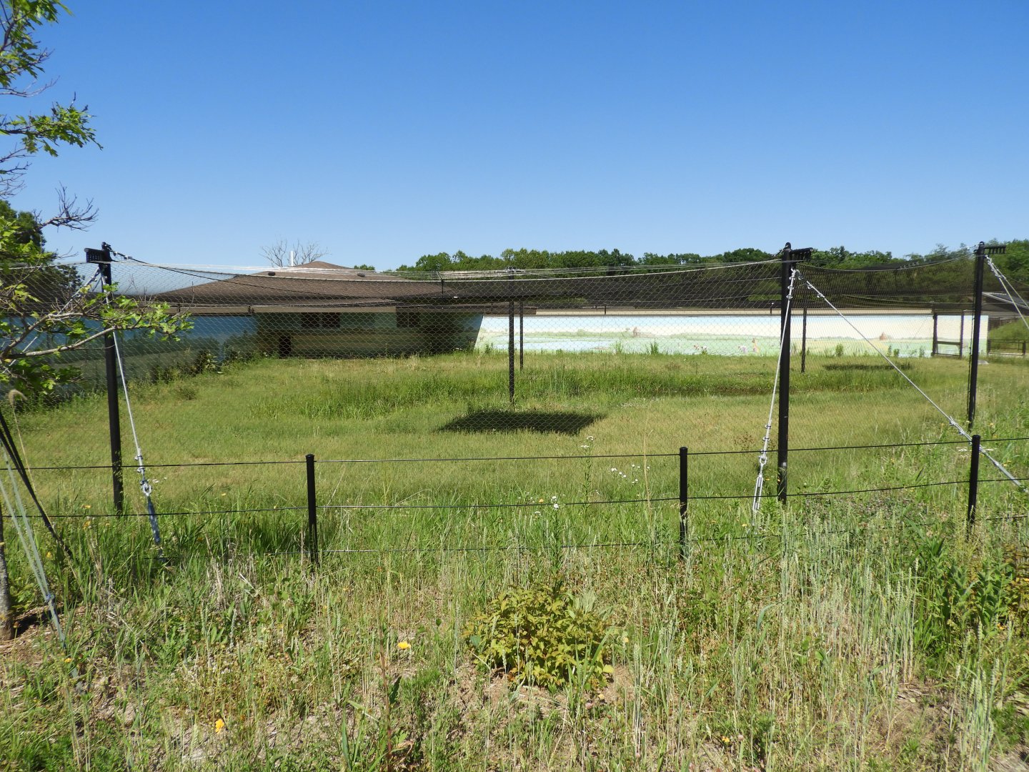 Sarus Crane exhibit - New in 2021