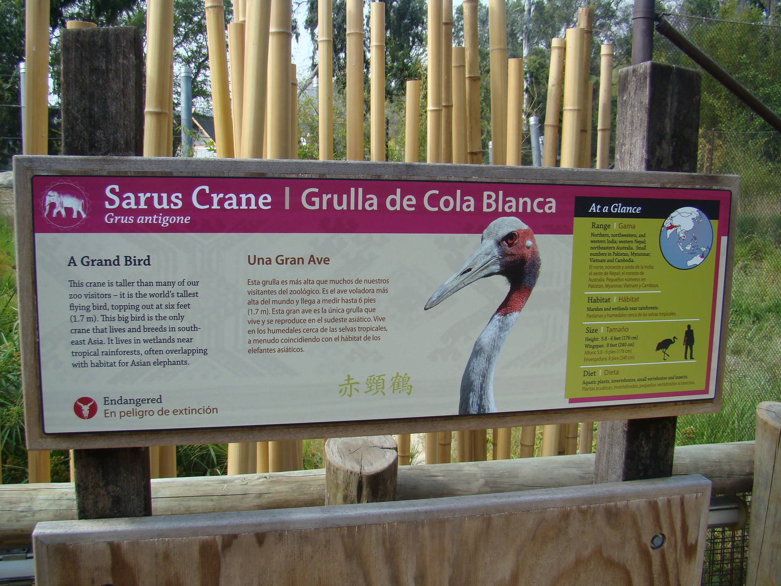 Sarus Crane sign