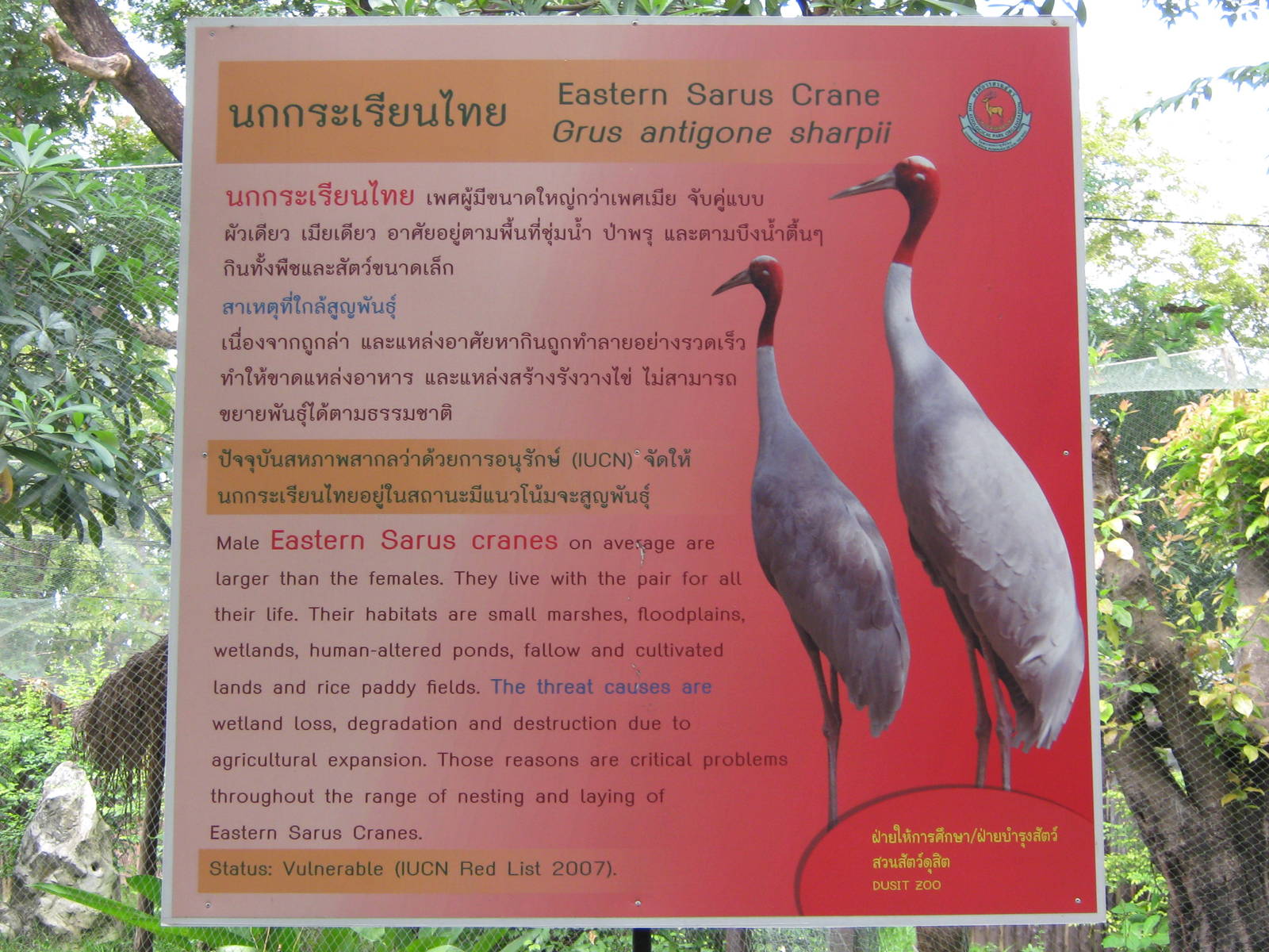 sarus crane signage