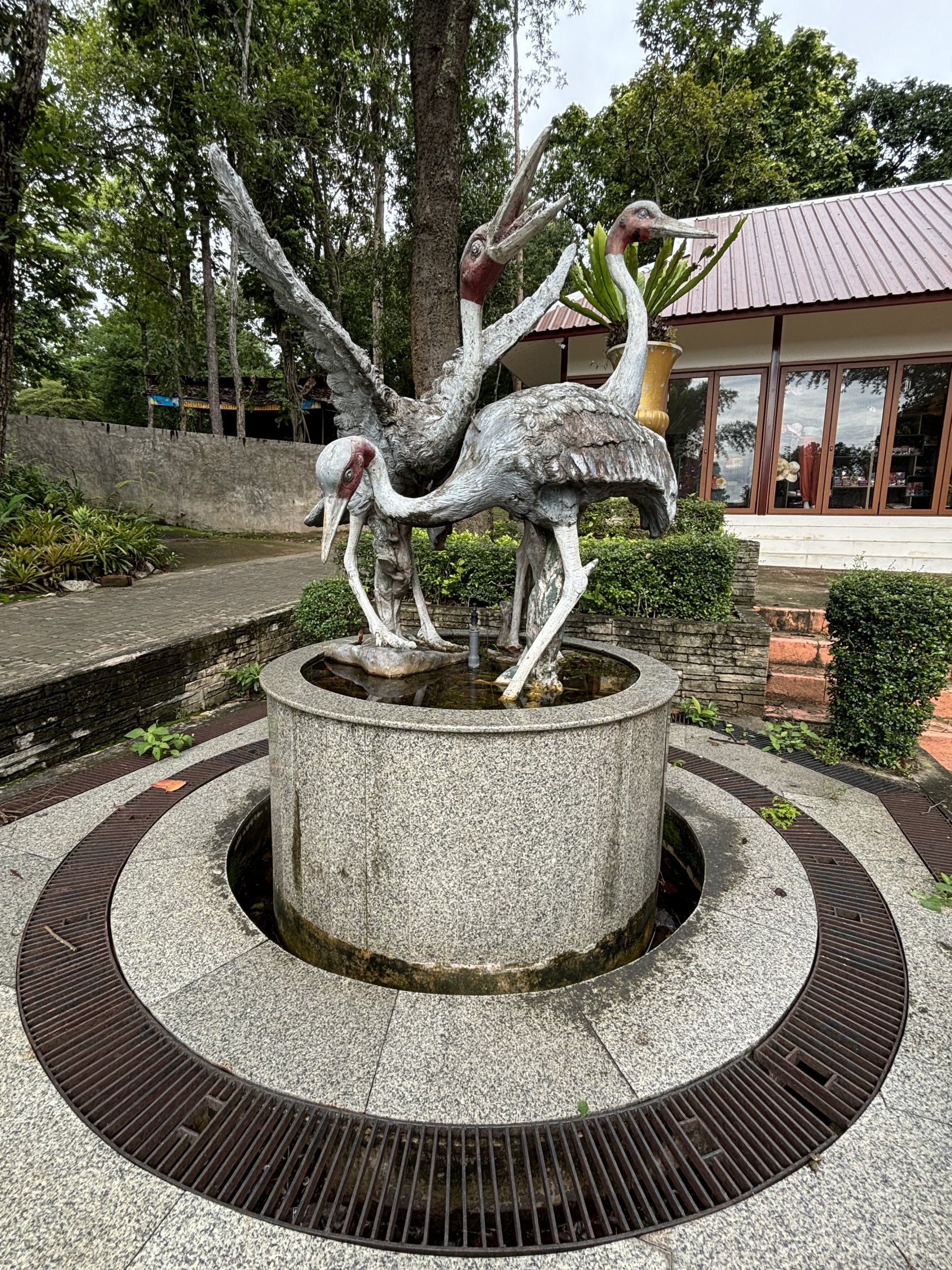 Sarus Crane Statue