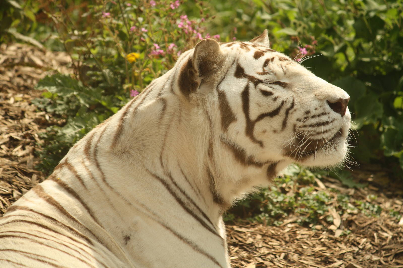 Sasha - 30 July 2010