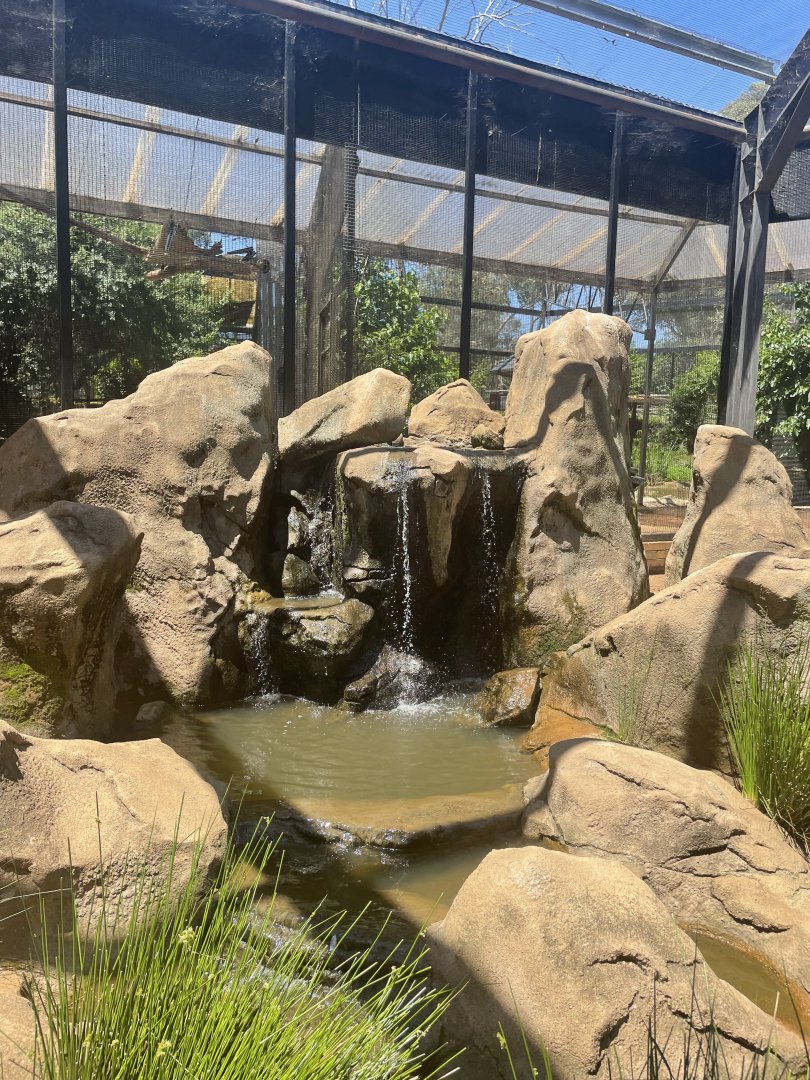 Sasol Aviary Waterfall