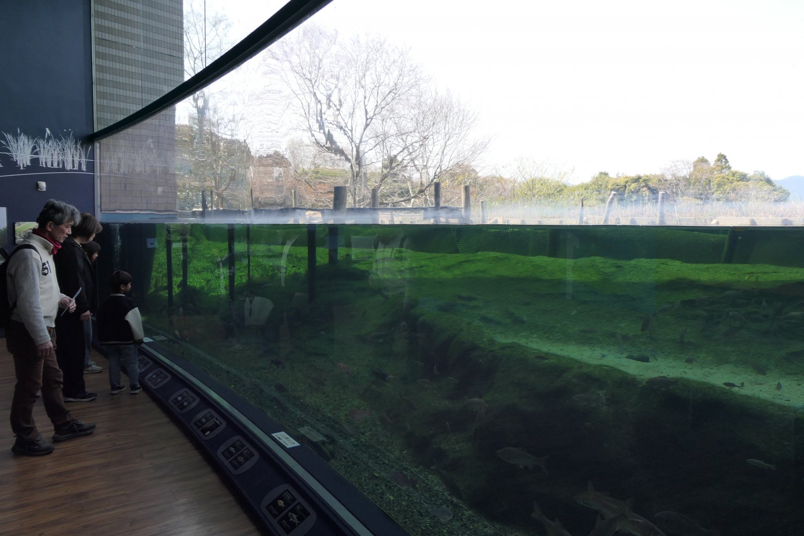 Satellite Lakes and Marshes exhibit - Lake Biwa Museum