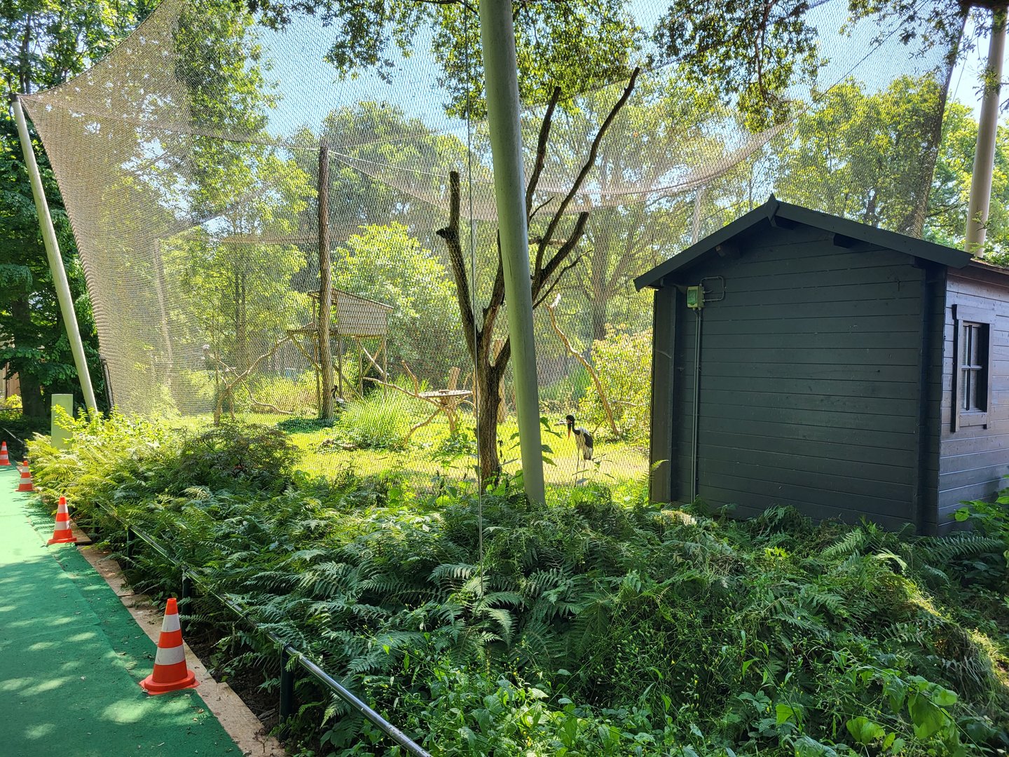 Sattle-billed stork aviary