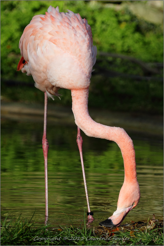 Saturday 23rd October 2013