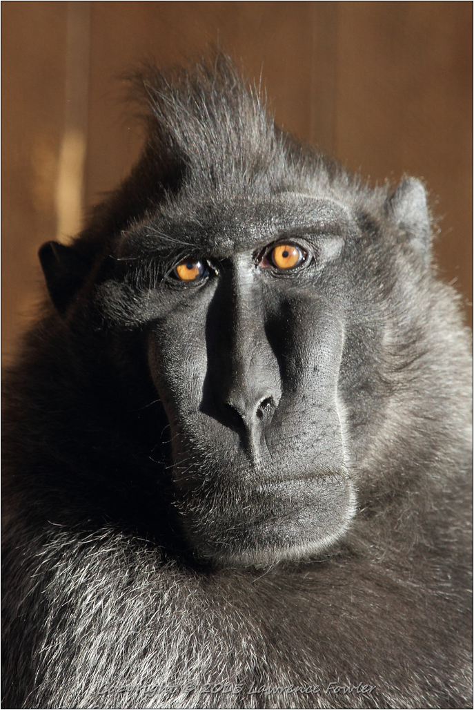 Saturday 23rd October 2013