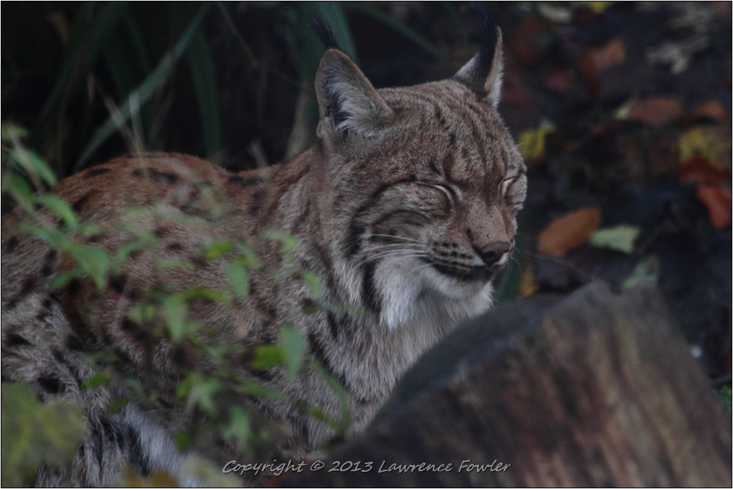 Saturday 23rd October 2013