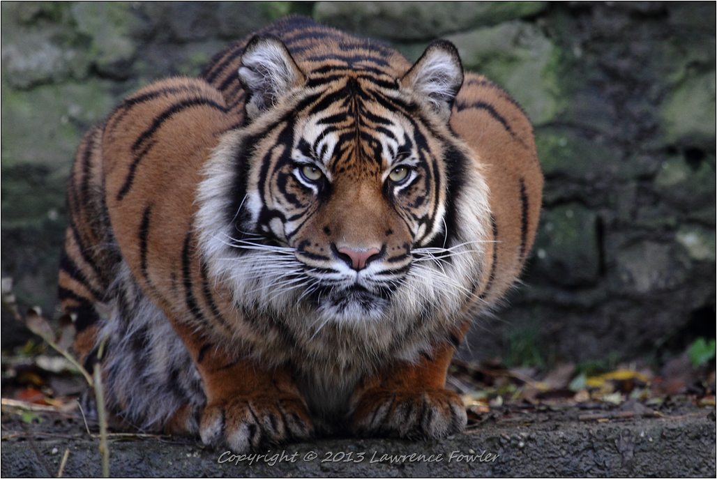 Saturday 23rd October 2013