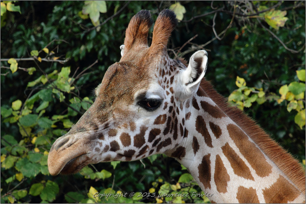 Saturday 23rd October 2013