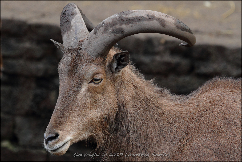 Saturday 23rd October 2013