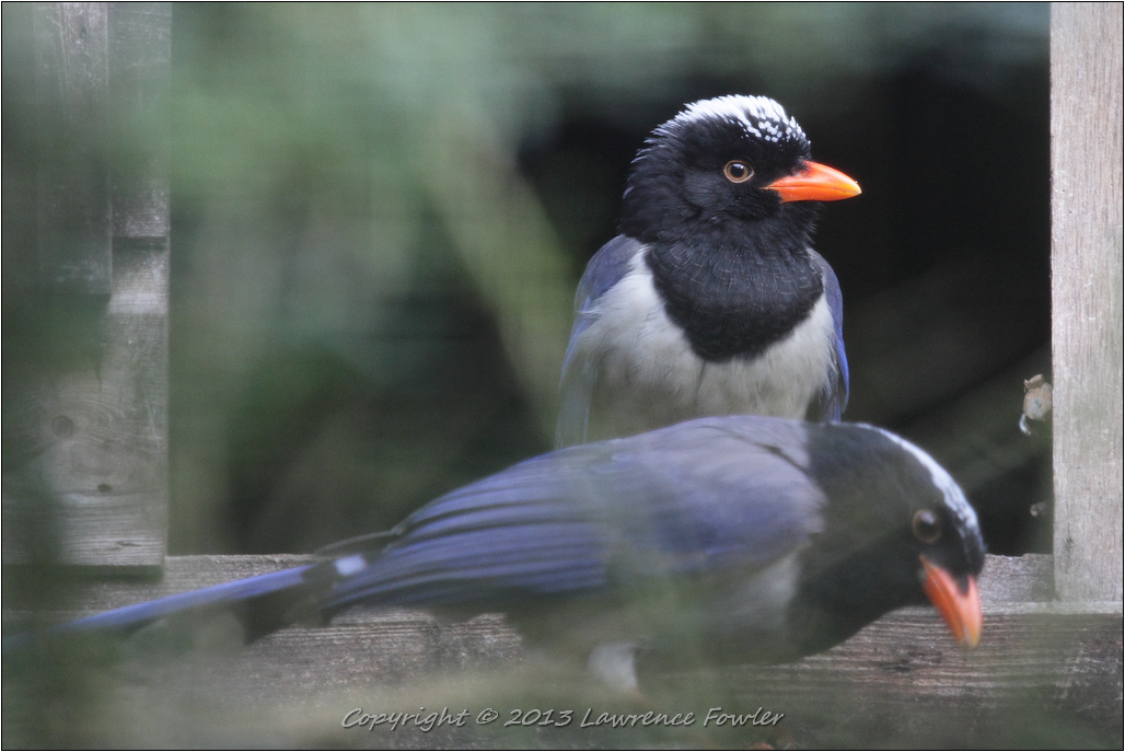 Saturday 23rd October 2013