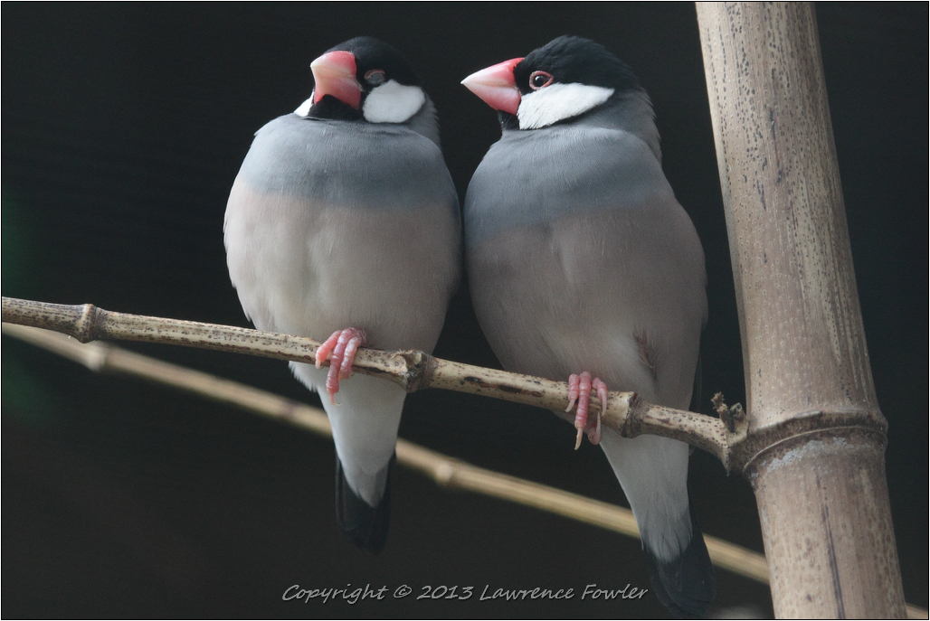 Saturday 23rd October 2013