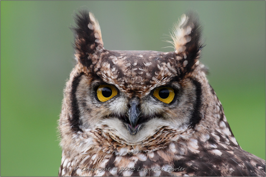 Saturday 23rd October 2013