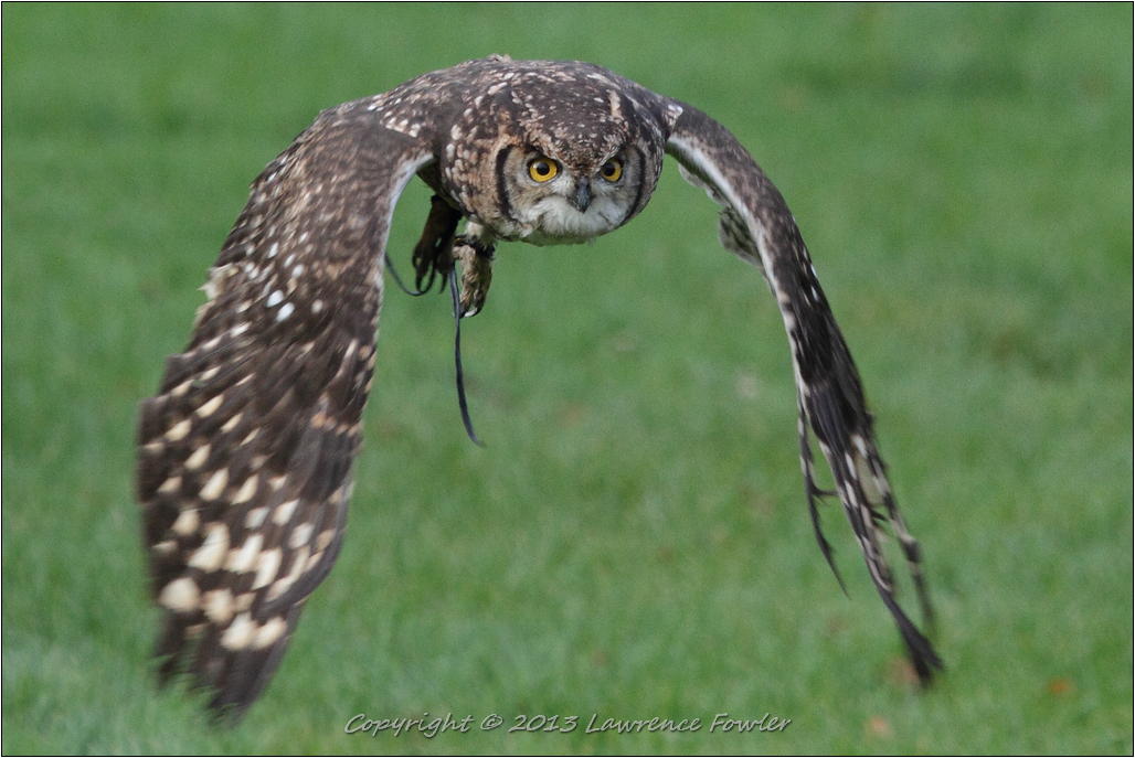 Saturday 23rd October 2013