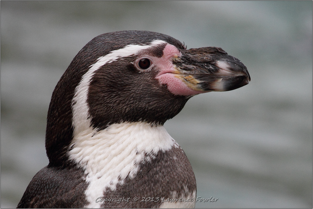 Saturday 23rd October 2013