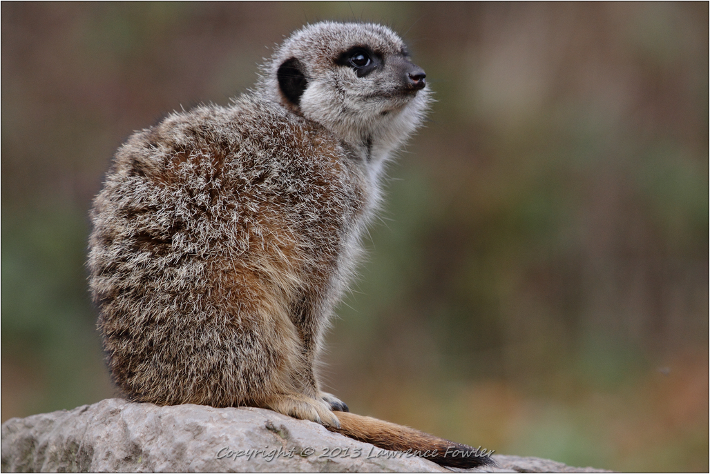 Saturday 23rd October 2013