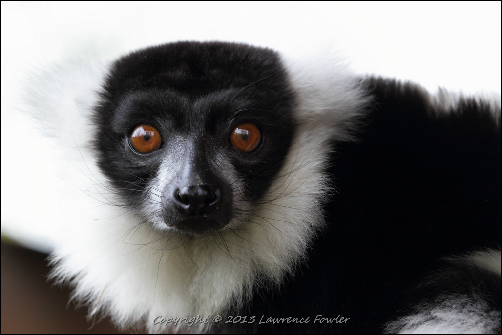 Saturday 23rd October 2013