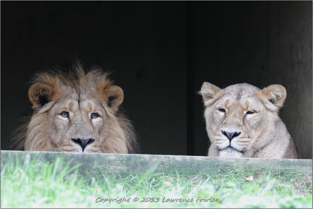 Saturday 23rd October 2013