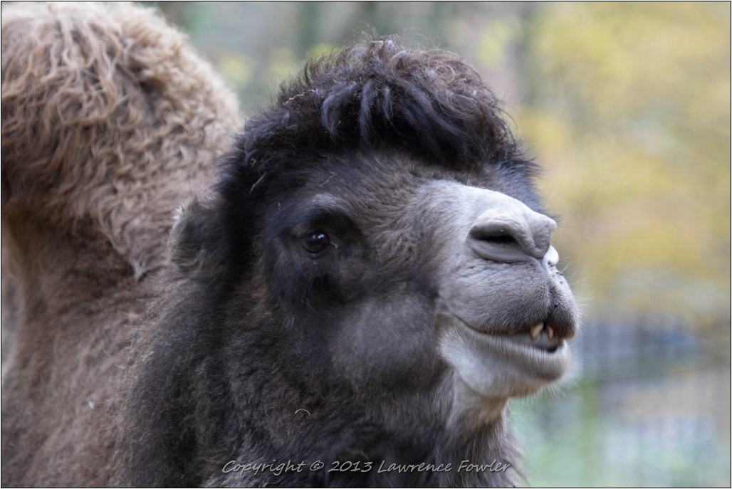 Saturday 23rd October 2013