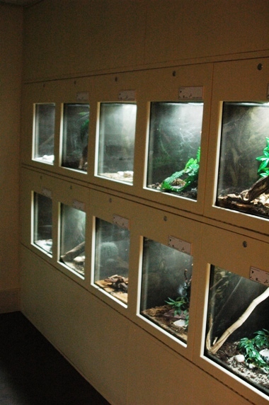 Sauria Jan-2009 (Reptilezoo in Delft)