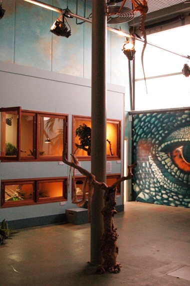 Sauria Jan-2009 (Reptilezoo in Delft)