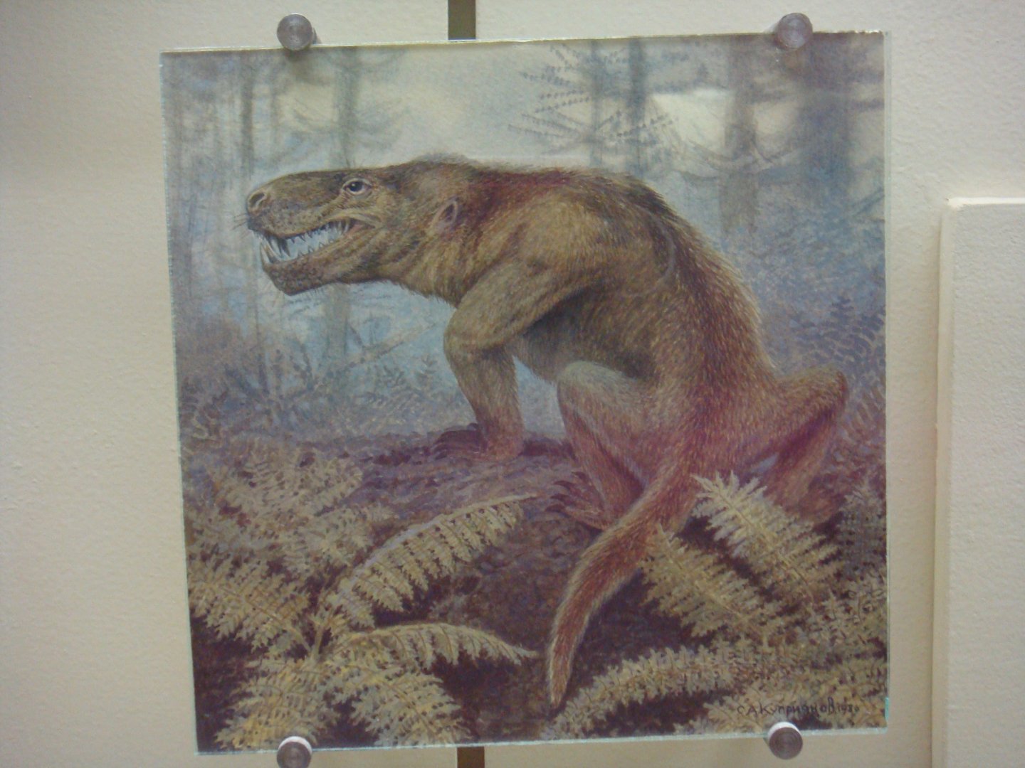 Sauroctonus progressus reconstruction