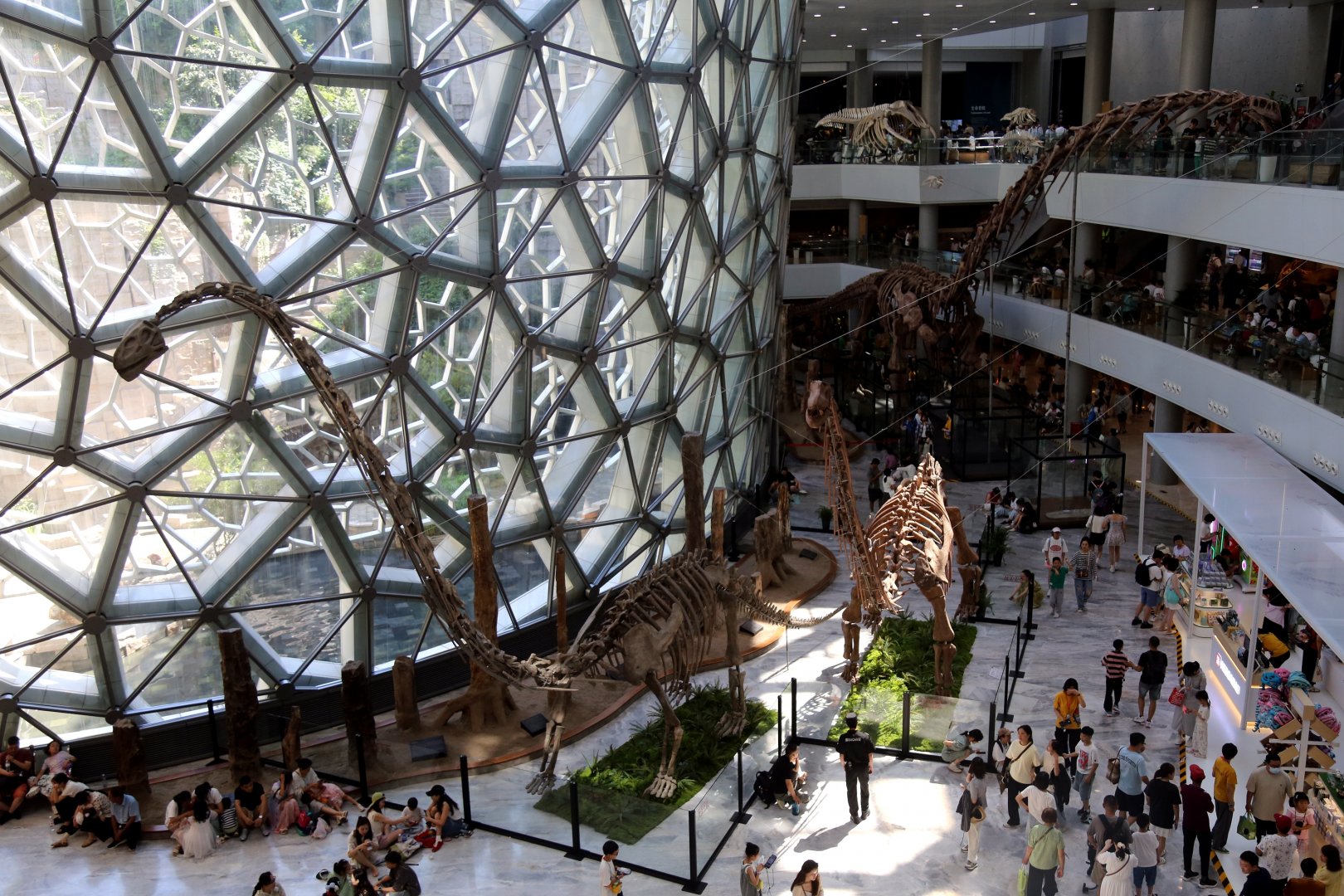 Sauropods in the Main Atrium