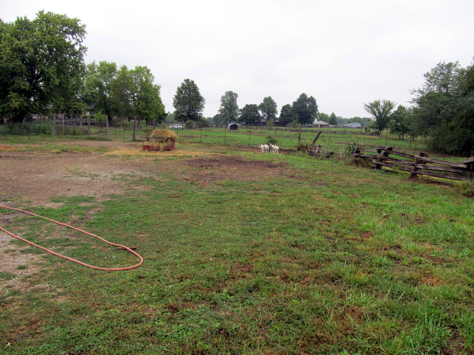 Savanahland Educational Park - Addax Exhibit
