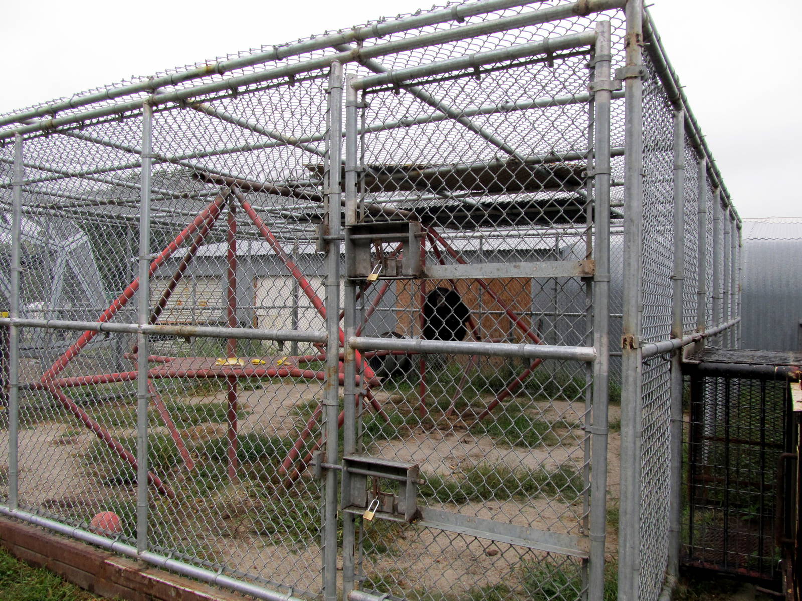 Savanahland Educational Park -Chimpanzee Exhibit